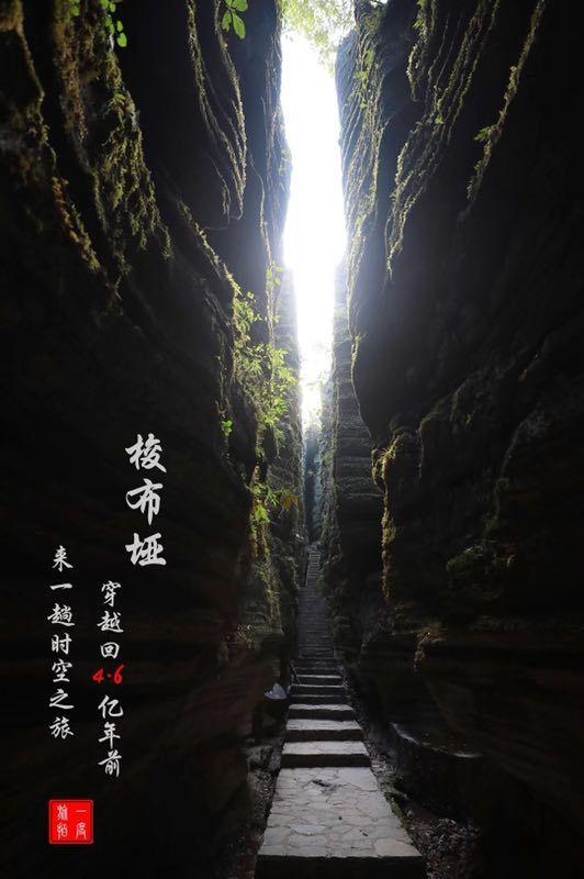 喜报！兰山区在山东省“唱响未来”校歌MV大赛中获佳绩